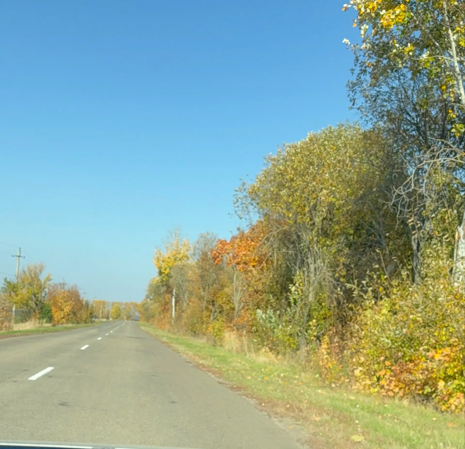 Какая красота в дороге!