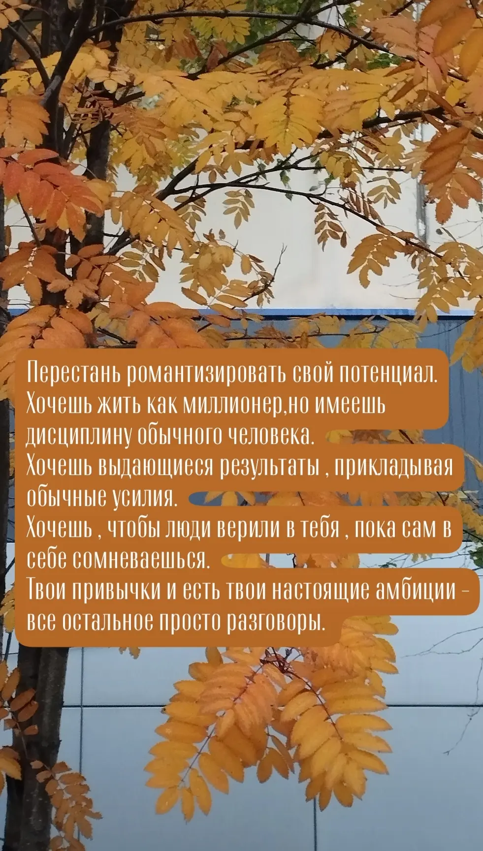 Доброе утро друзья ❤️ , как Ваши дела? Вам подключили комментарии в Максе?
