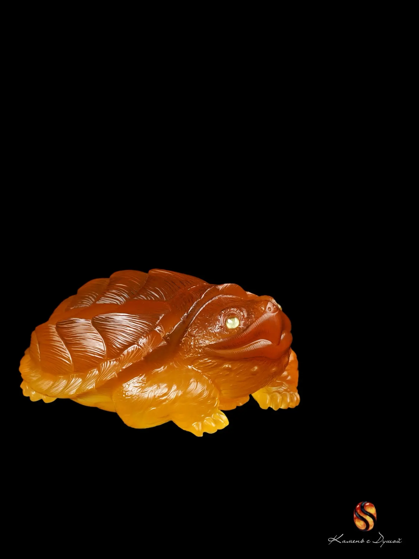 Уехала, но обещала вернуться 🐢🐢🐢