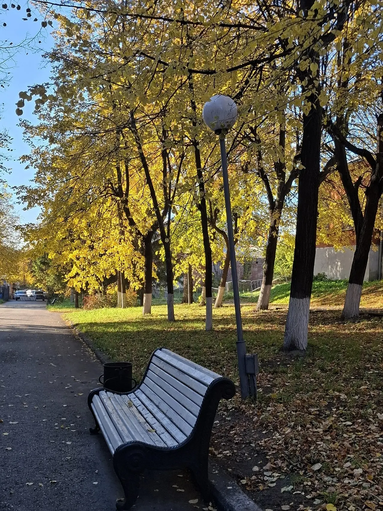☀️ Доброе утро, друзья!