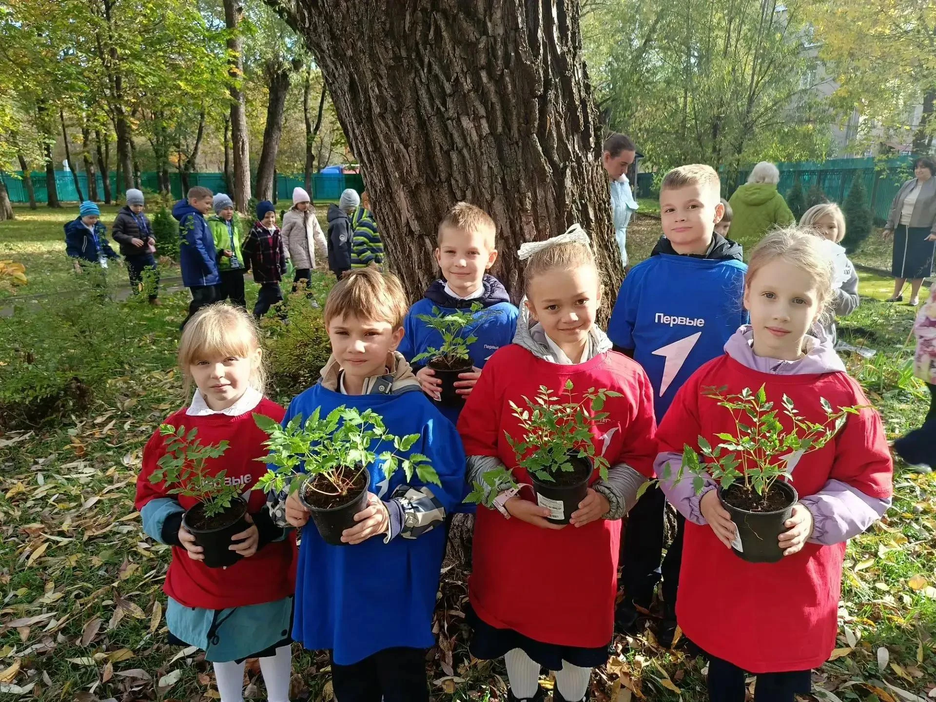 Лесу - быть 🌳