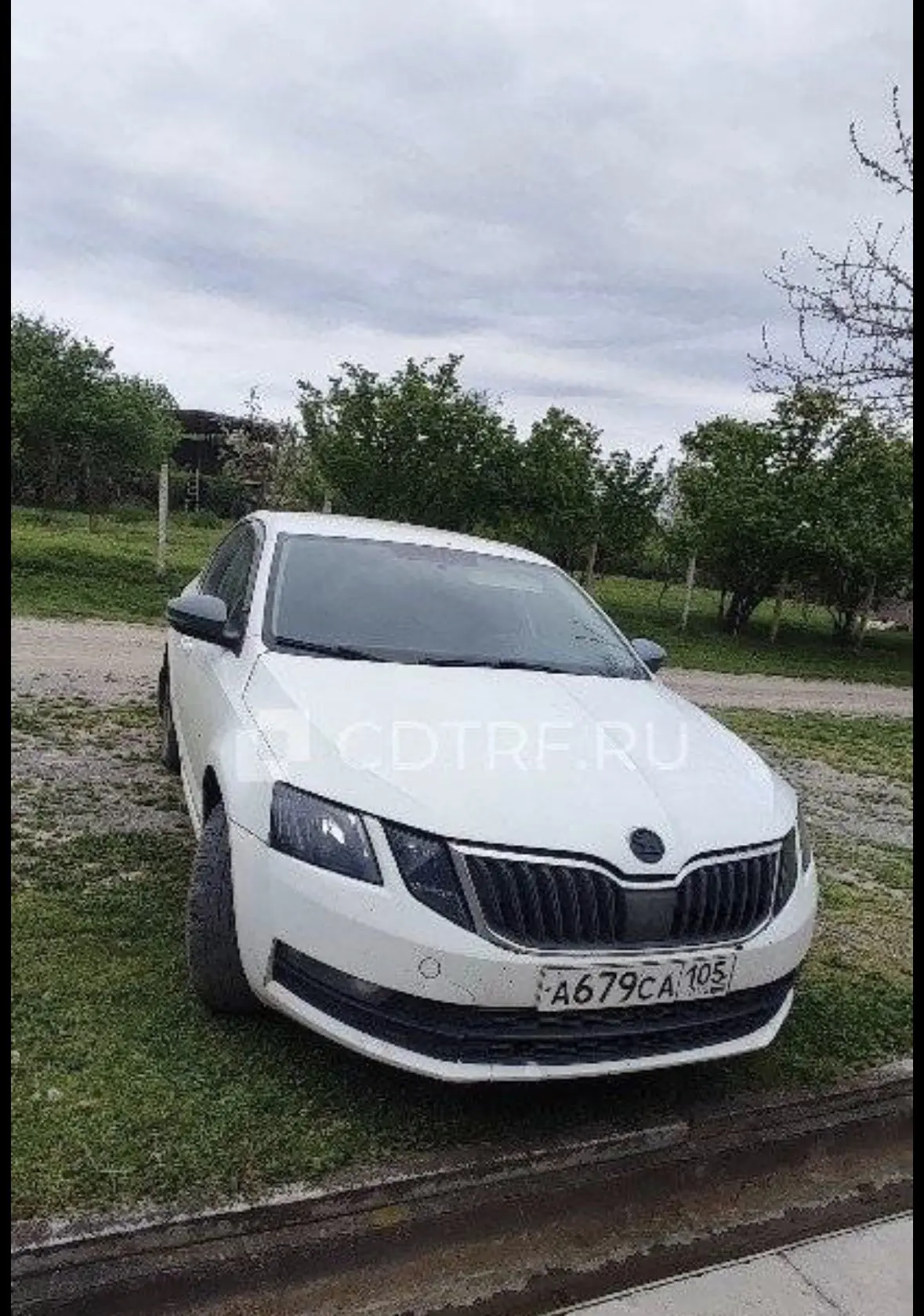 🔥 ЛОТ №3137
