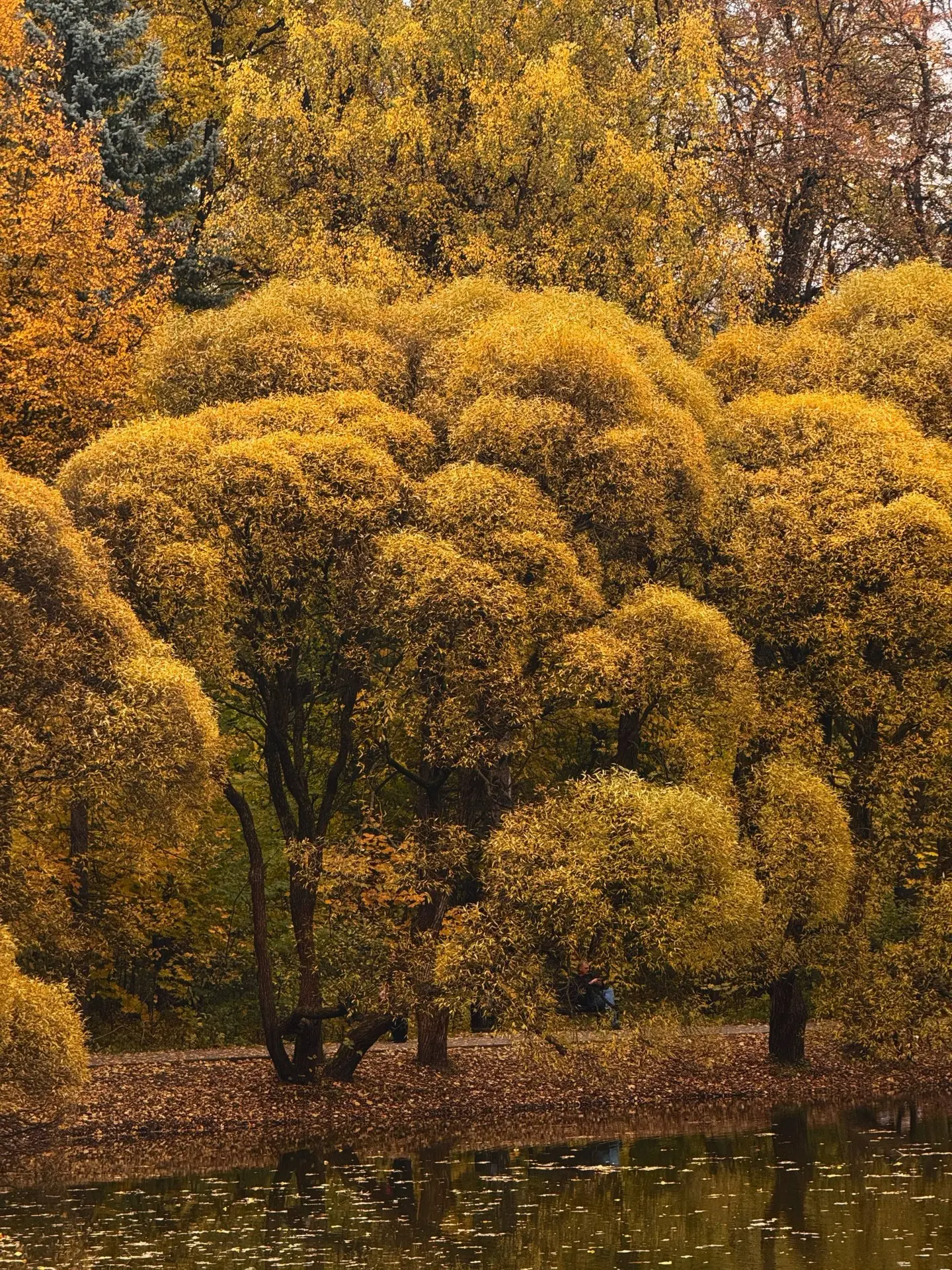 Нарышкинский пруд
