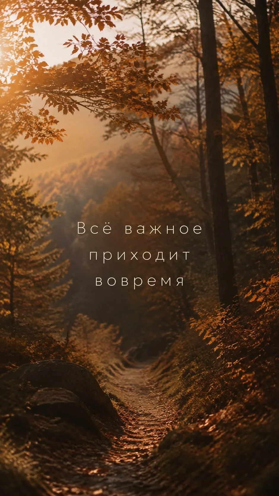 ✨напоминание✨