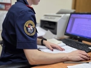 Житель Пинежья предстанет перед судом за нападение на соседку и жестокое обращение с жи...