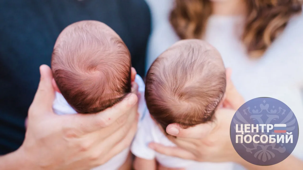 Уход за двойней можно поделить между двумя родственниками