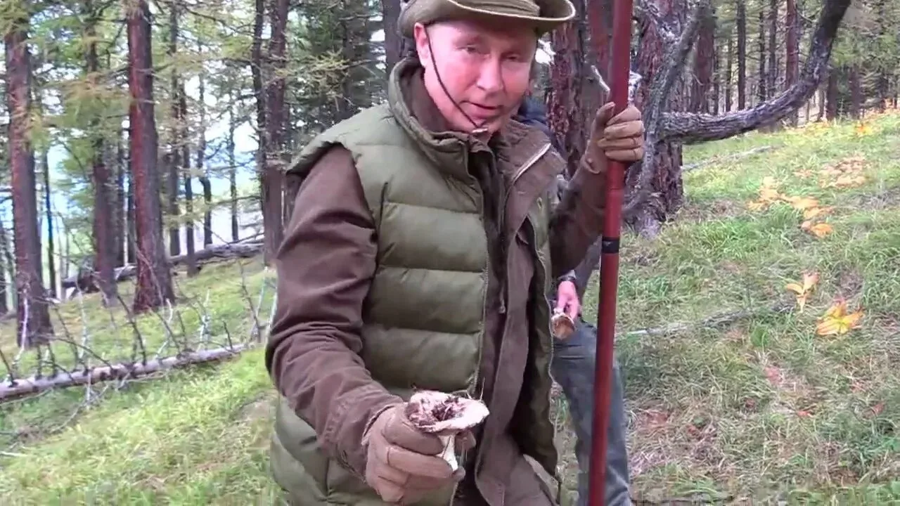 Товарищ Верховный Главнокомандующий!