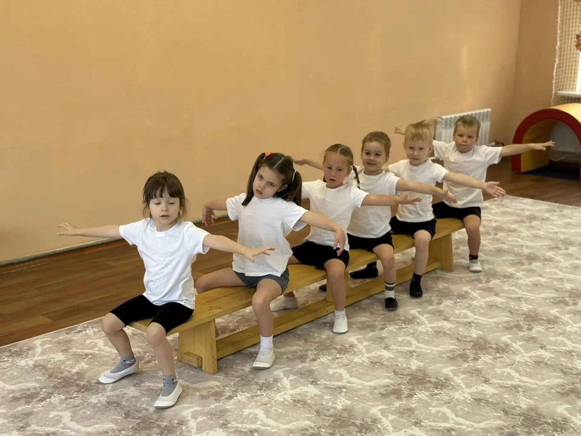 🌟МОУ "Лицей г. Истра"  корпус  2-24