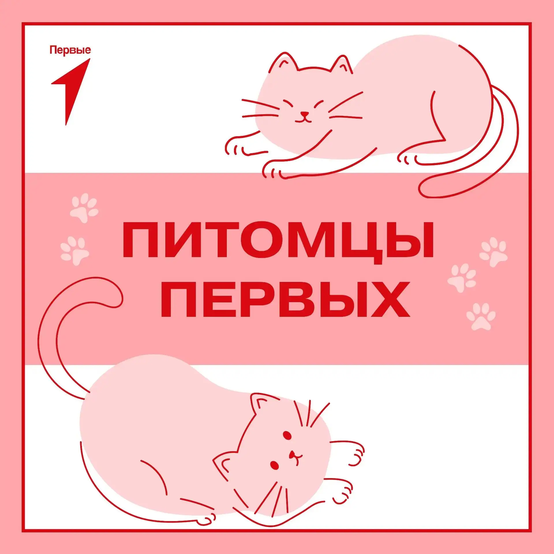 ❤️ Первые и их любимцы