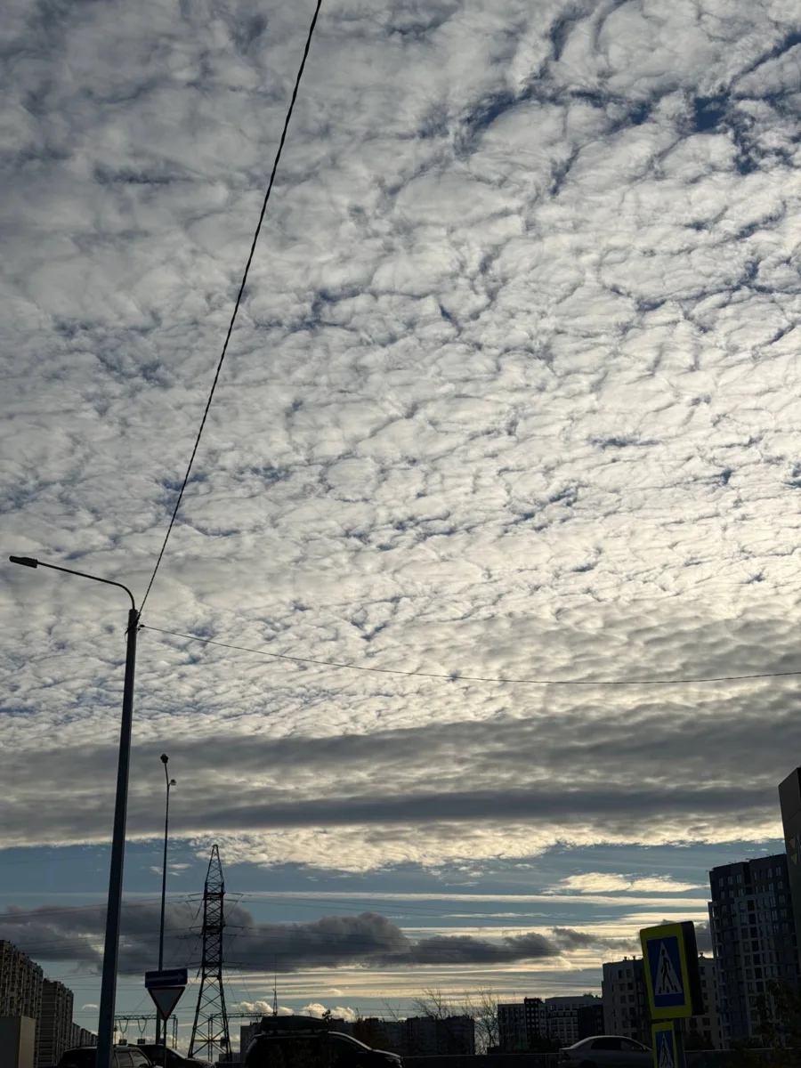 Небо укуталось облачным одеялом ☁️