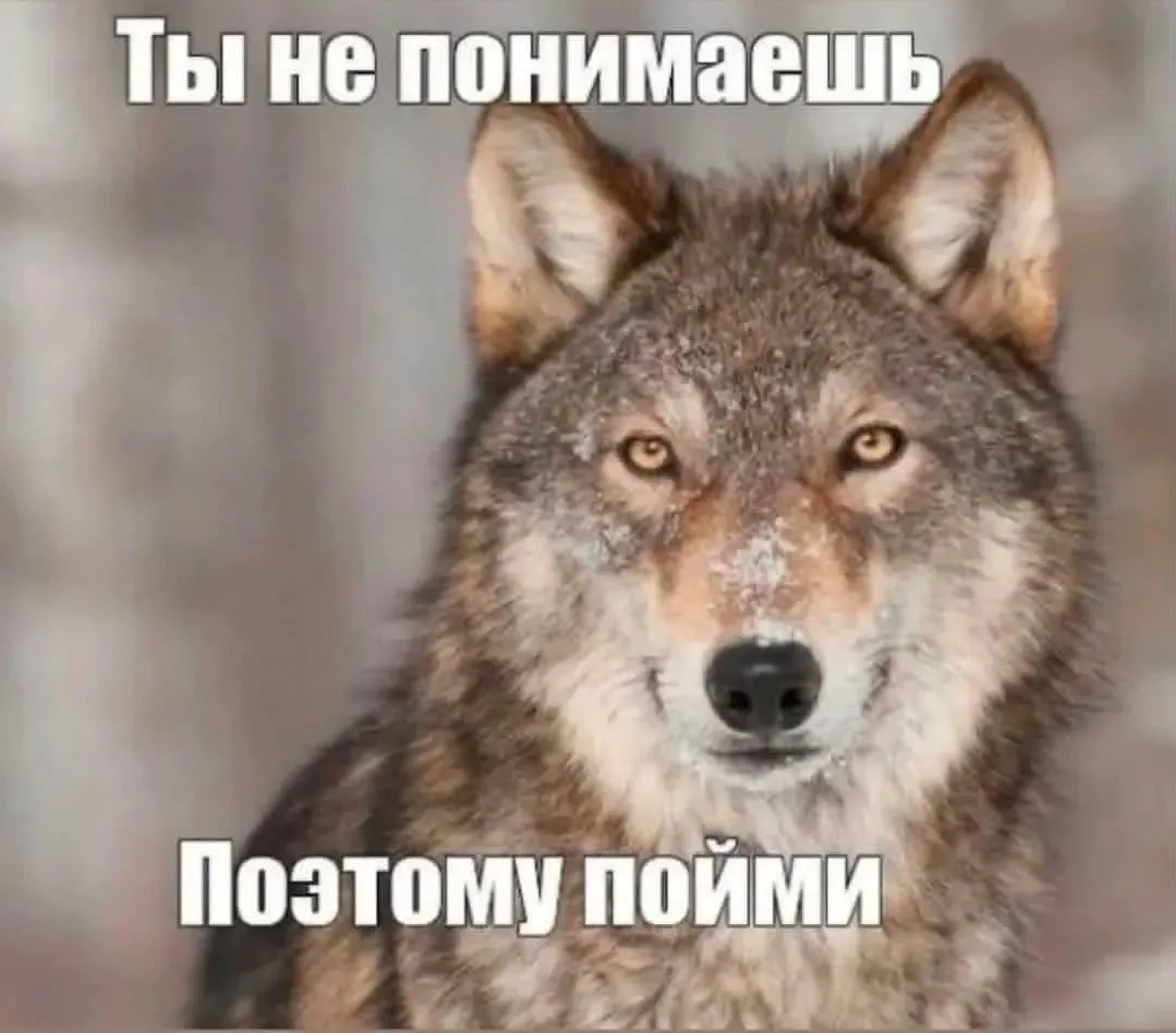 босс поясняет, как выполнять задачу.
