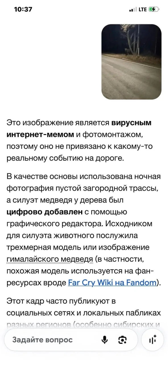 Что делать, если в твоем районе завелся медведь? Спросить у нейросети.