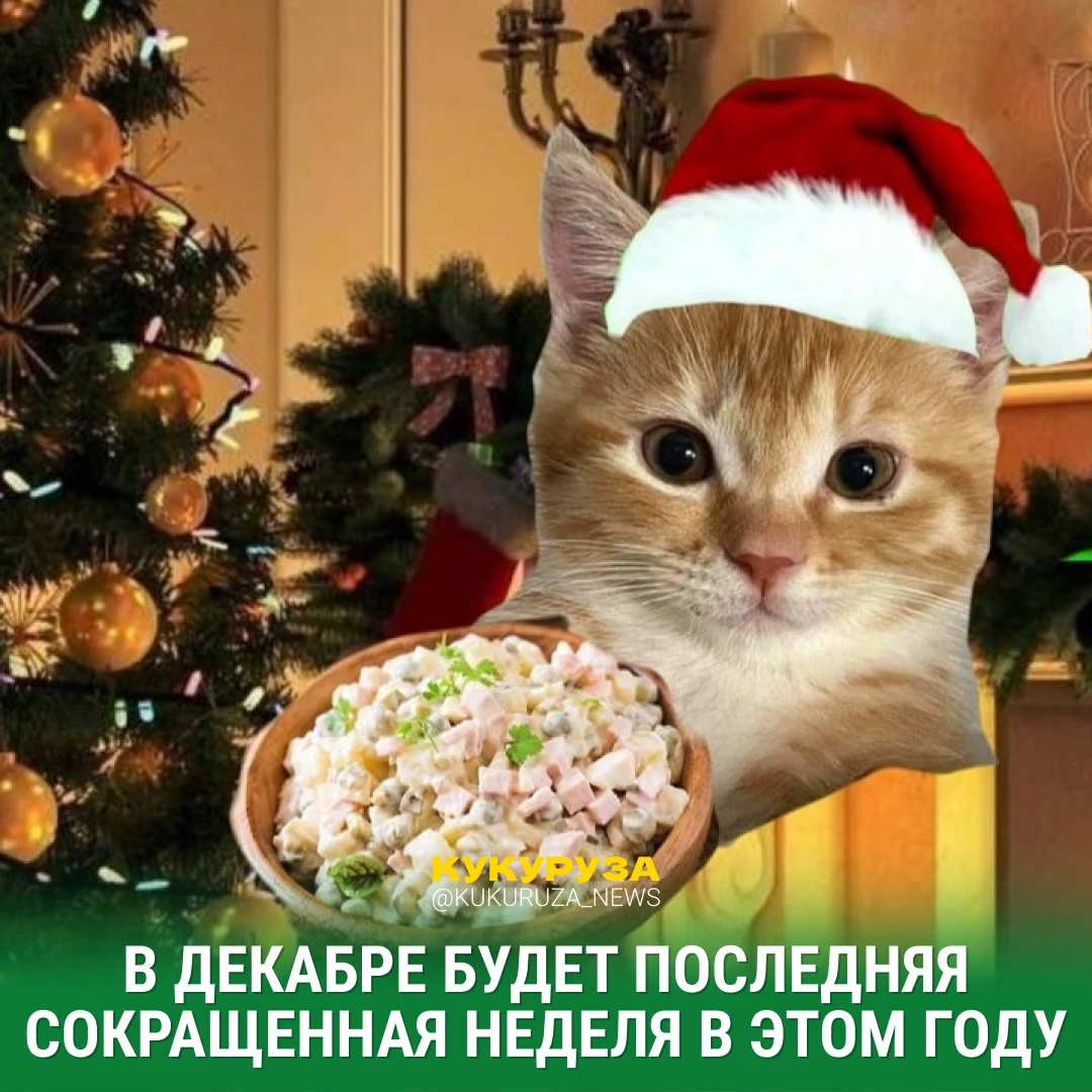 Знаете, что такое настоящая зимняя сказка?