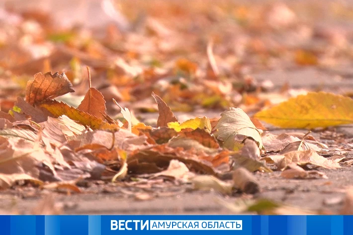 Ясно и тепло: прогноз погоды на 16 октября в Приамурье