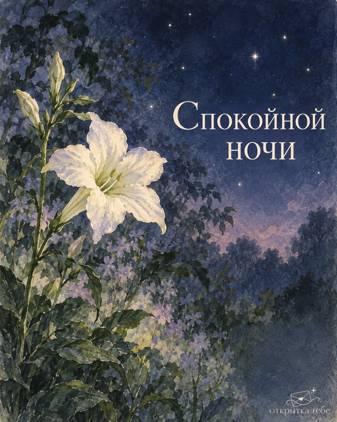 Спокойной ночи. 😴