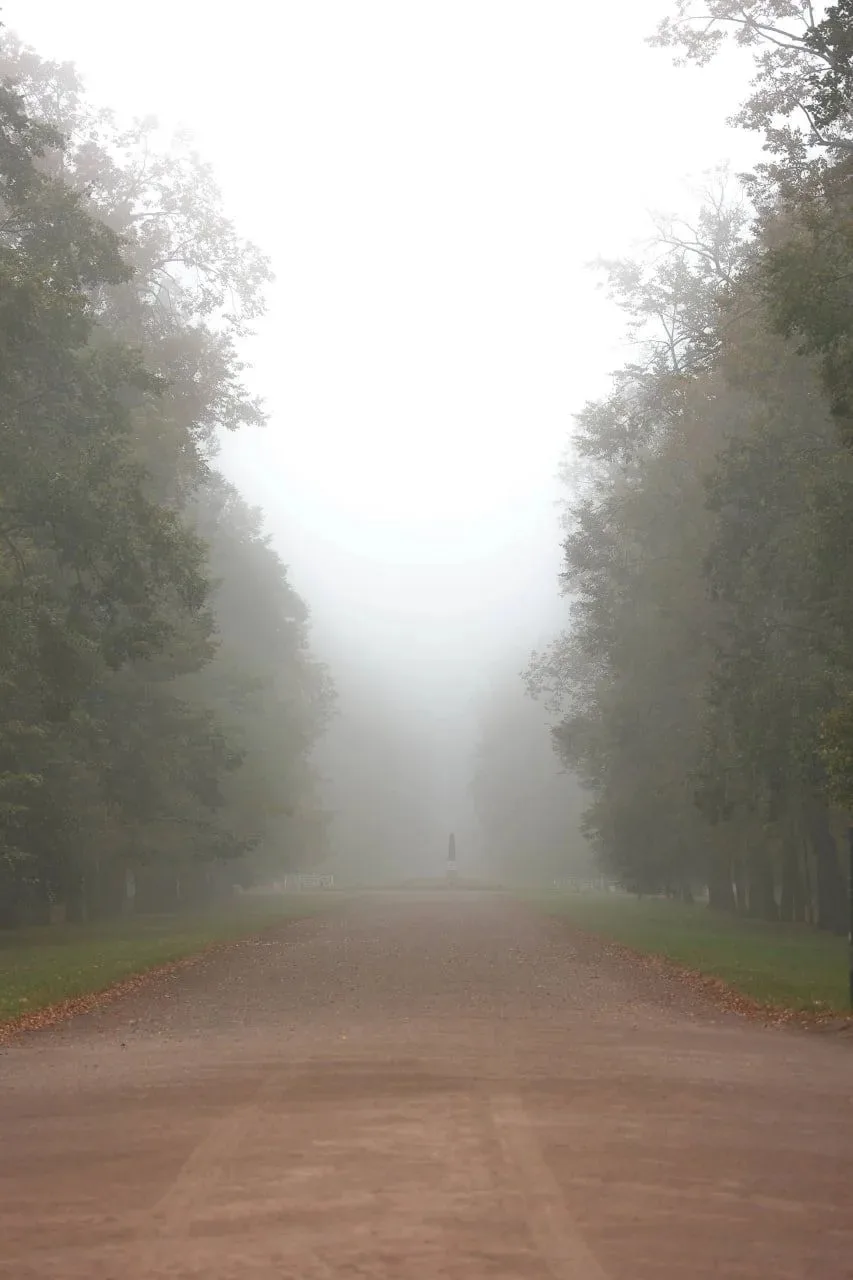 🌳 Александровский парк