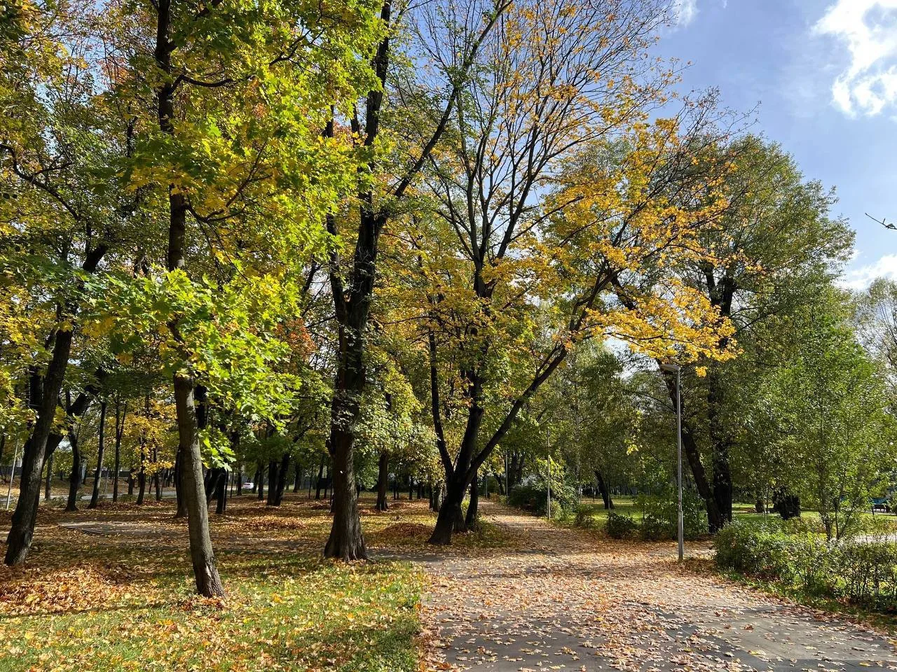 🍂 Осень в Кузьминках радует красотой