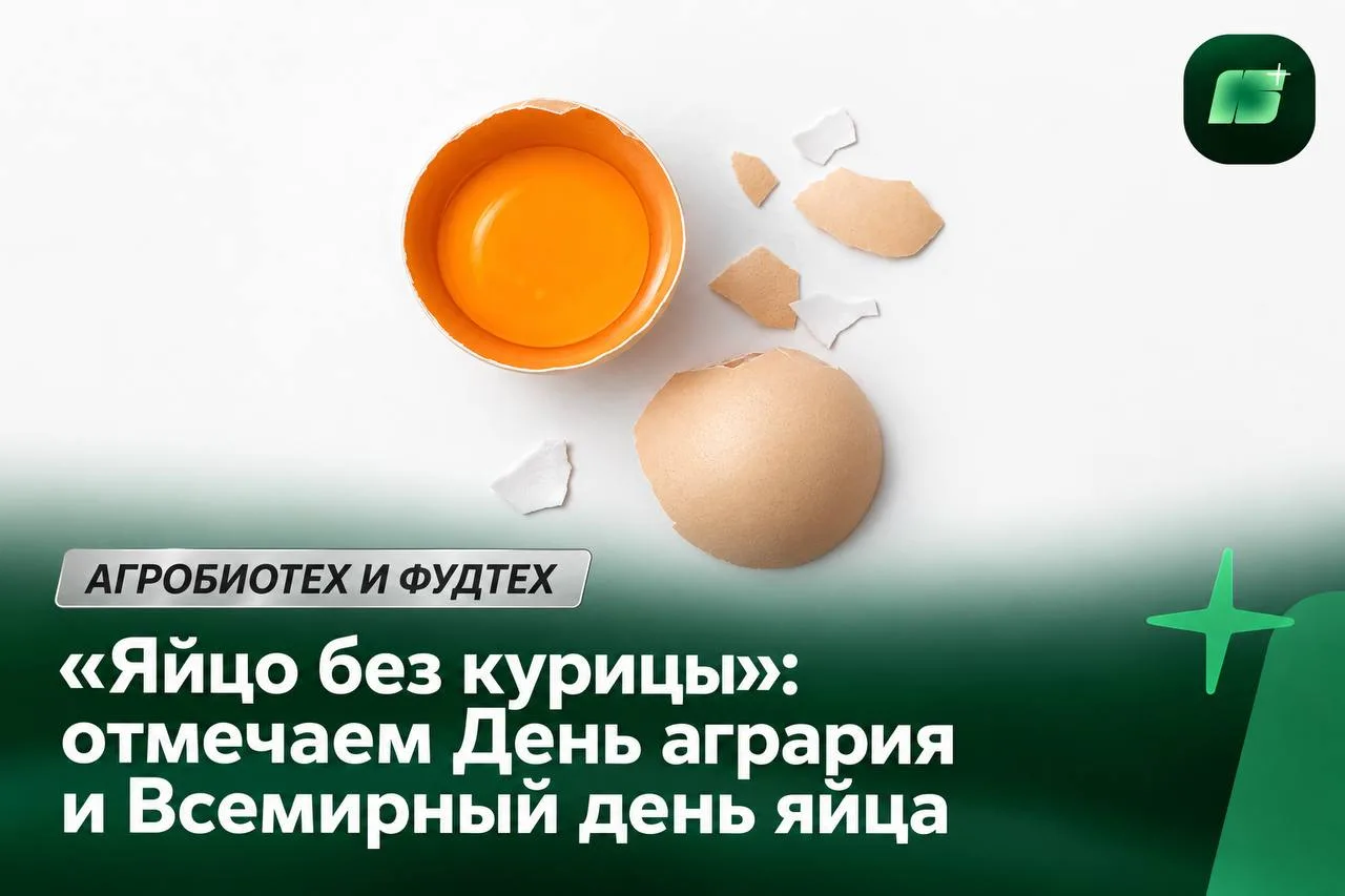 «Яйцо без курицы»: отмечаем День агрария и Всемирный день яйца