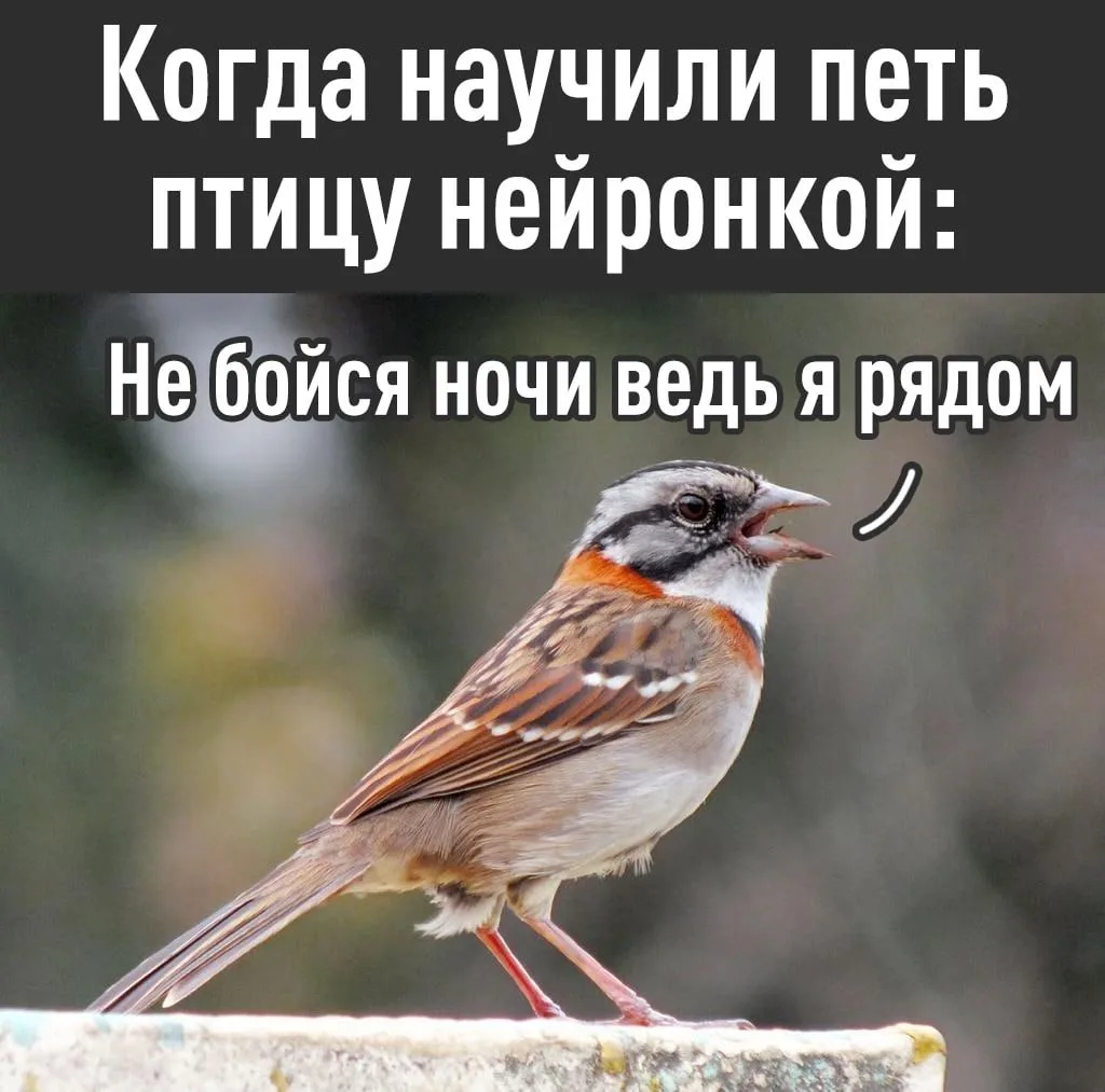 Учёные с помощью ИИ заново учат птиц петь — в Аргентине исследователи восстановили мело...