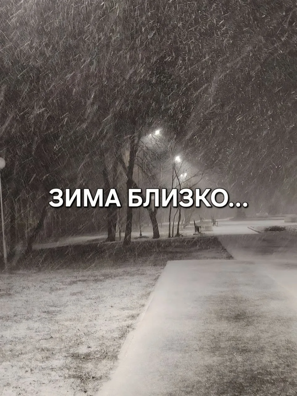 Синоптики рассказали, когда в Москве ожидается первый снег ❄