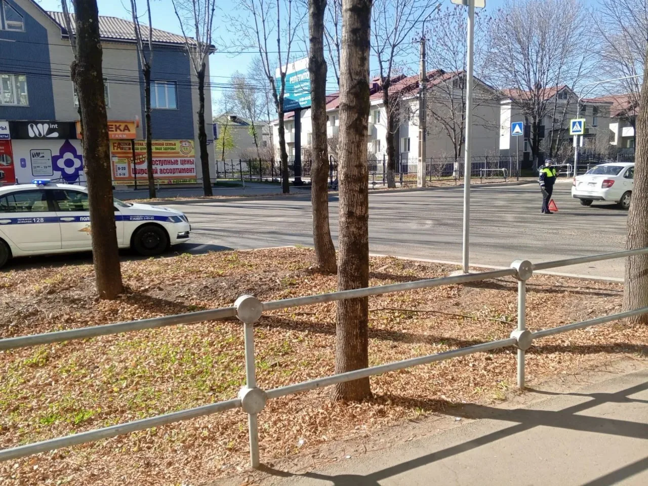 🚨 ДТП произошло на пешеходном переходе в Биробиджане