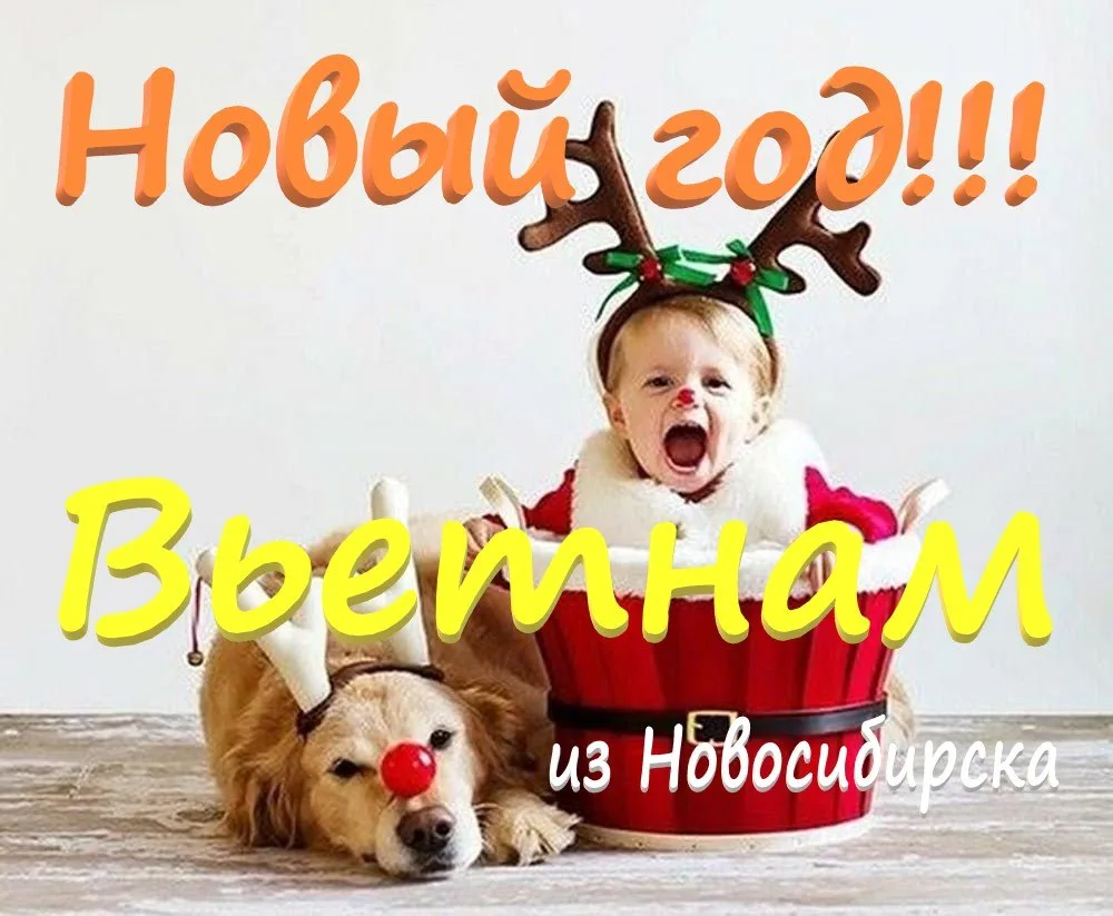 🇻🇳Вьетнам из Новосибирска!🎄