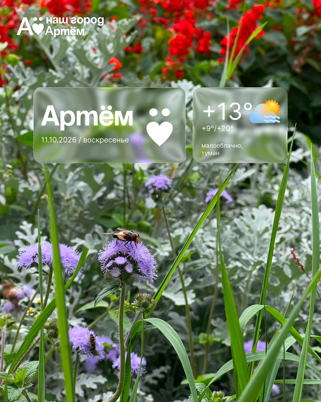Доброе утро, Артём!