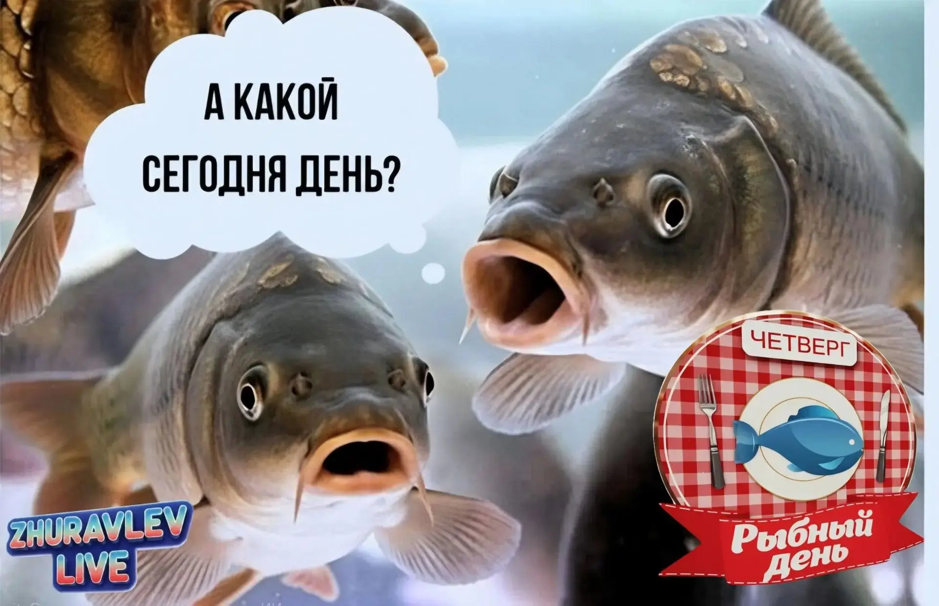 🐟 РЫБНЫЙ ЧЕТВЕРГ: НОВАЯ РУБРИКА И ИСТОРИЯ СОВЕТСКОГО РЫБНОГО ДНЯ!