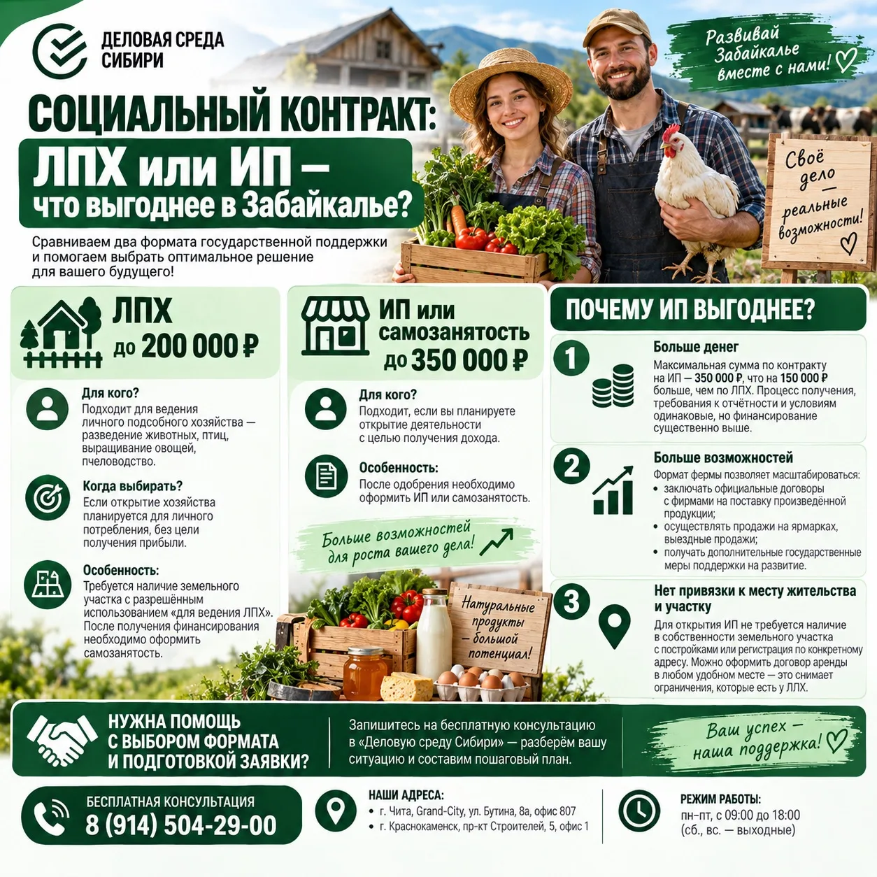 Социальный контракт: ЛПХ или ИП - что выгоднее в Забайкалье?