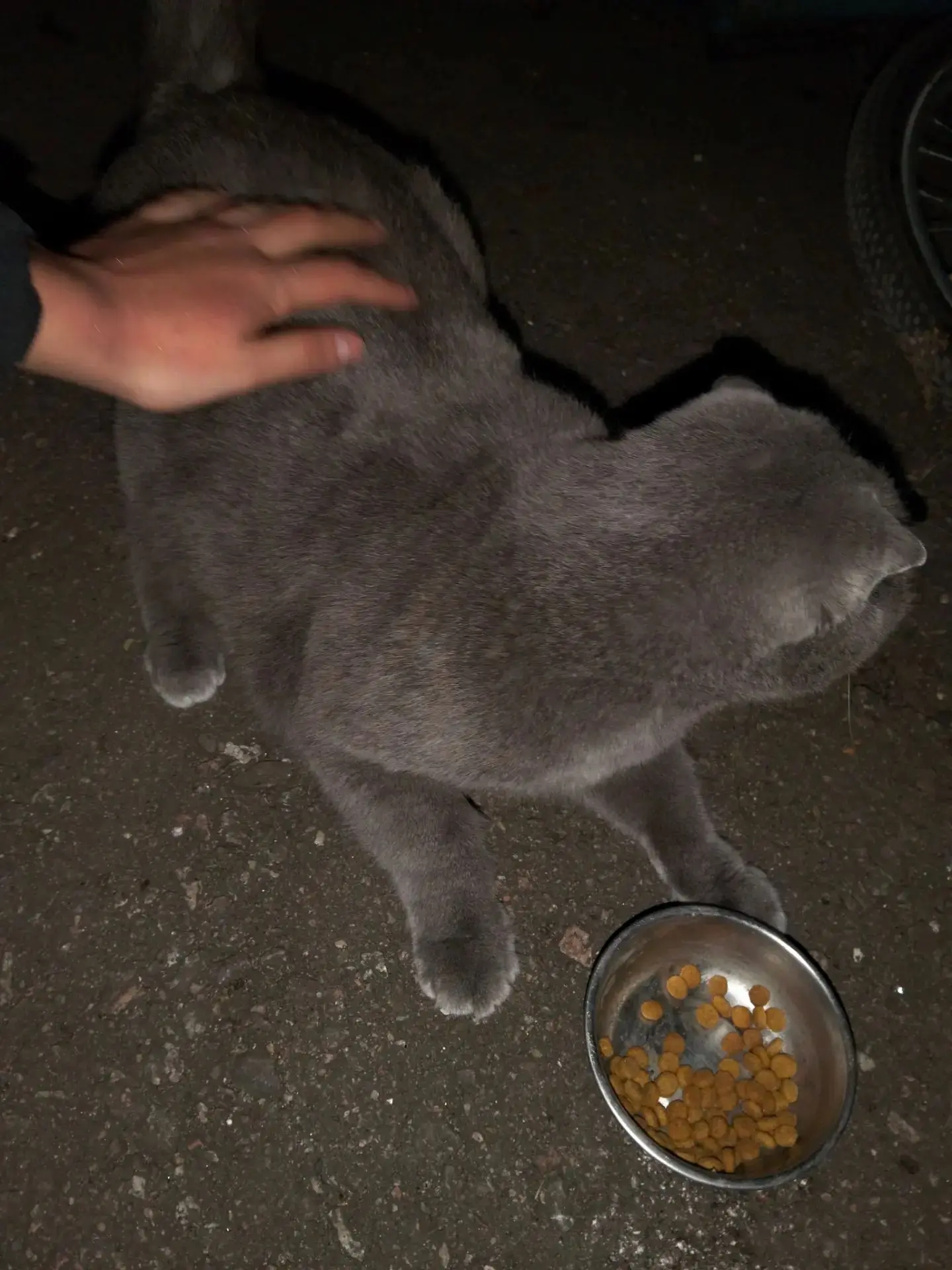 #ОНД71