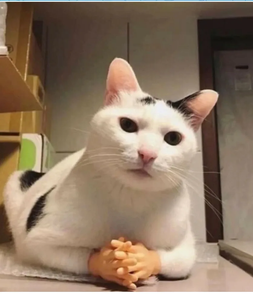 Комната допроса😸