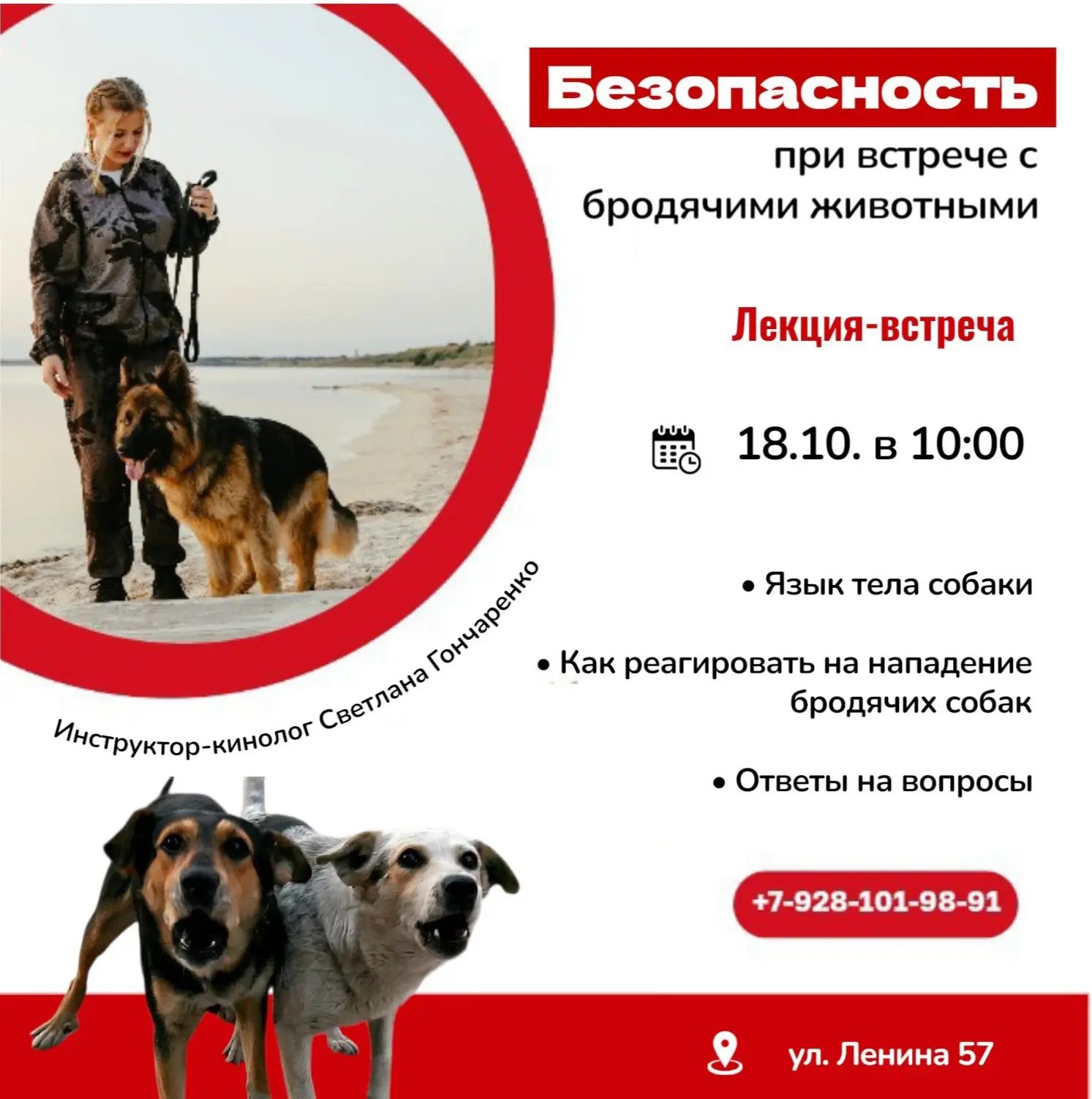 ❗Не поворачивайся спиной❗ Безопасность с бродячими собаками.