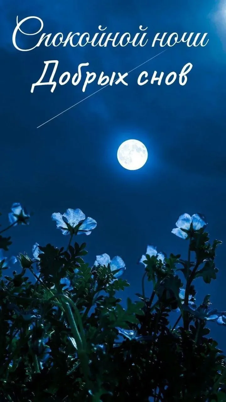 💙💙💙💙💙💙💙💙💙