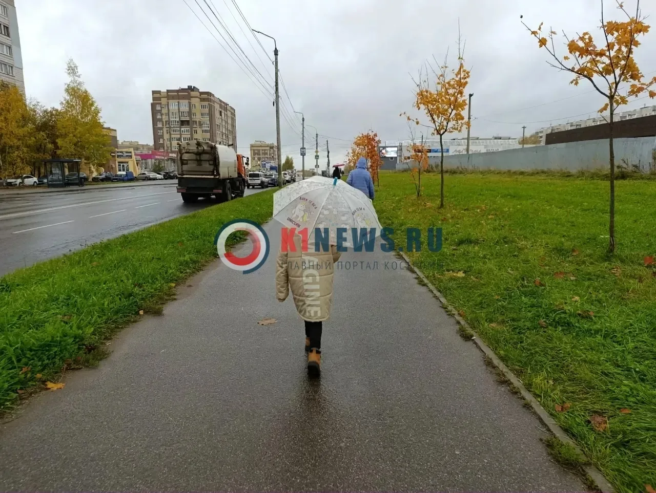 Бабье лето снова закончится: прогноз погоды в Костромской области на неделю