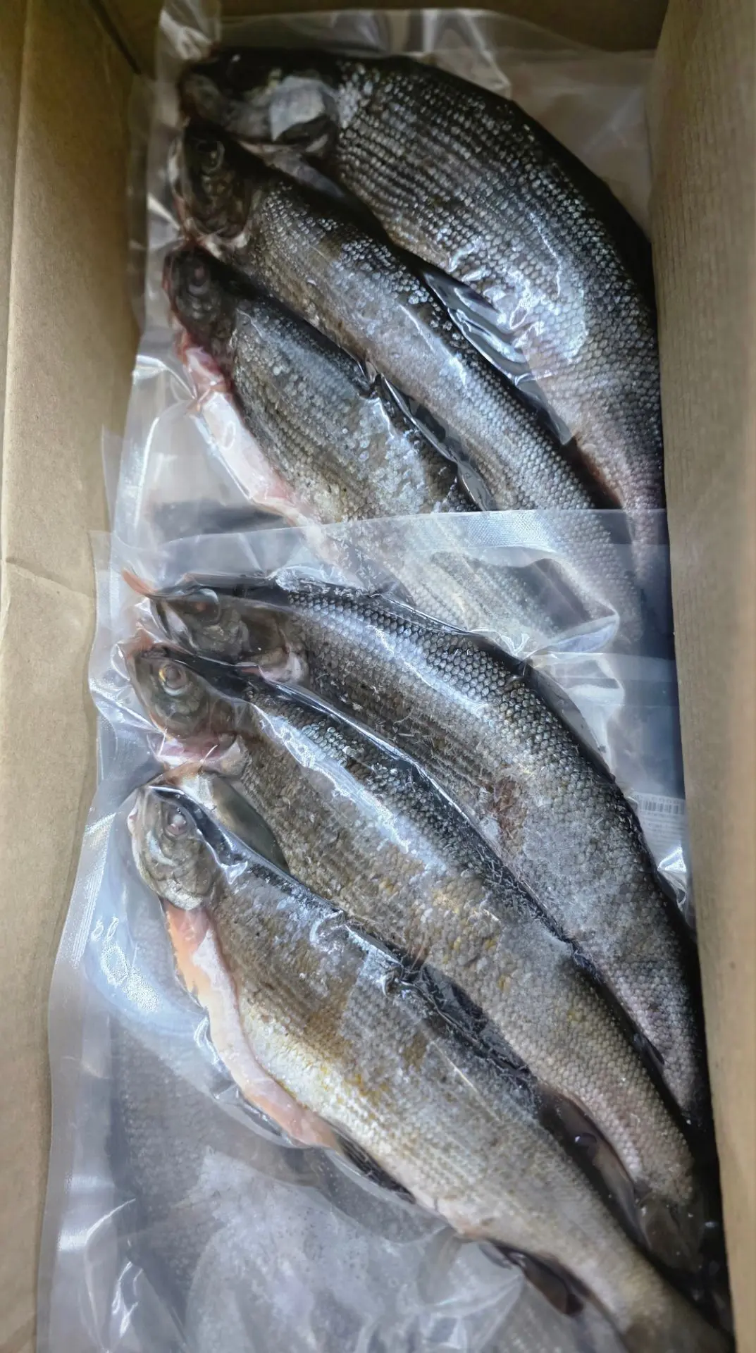 🐟 СТОЛЬКО РЫБНЫХ ВКУСНОСТЕЙ - ГЛАЗА РАЗБЕГАЮТСЯ! 🤤