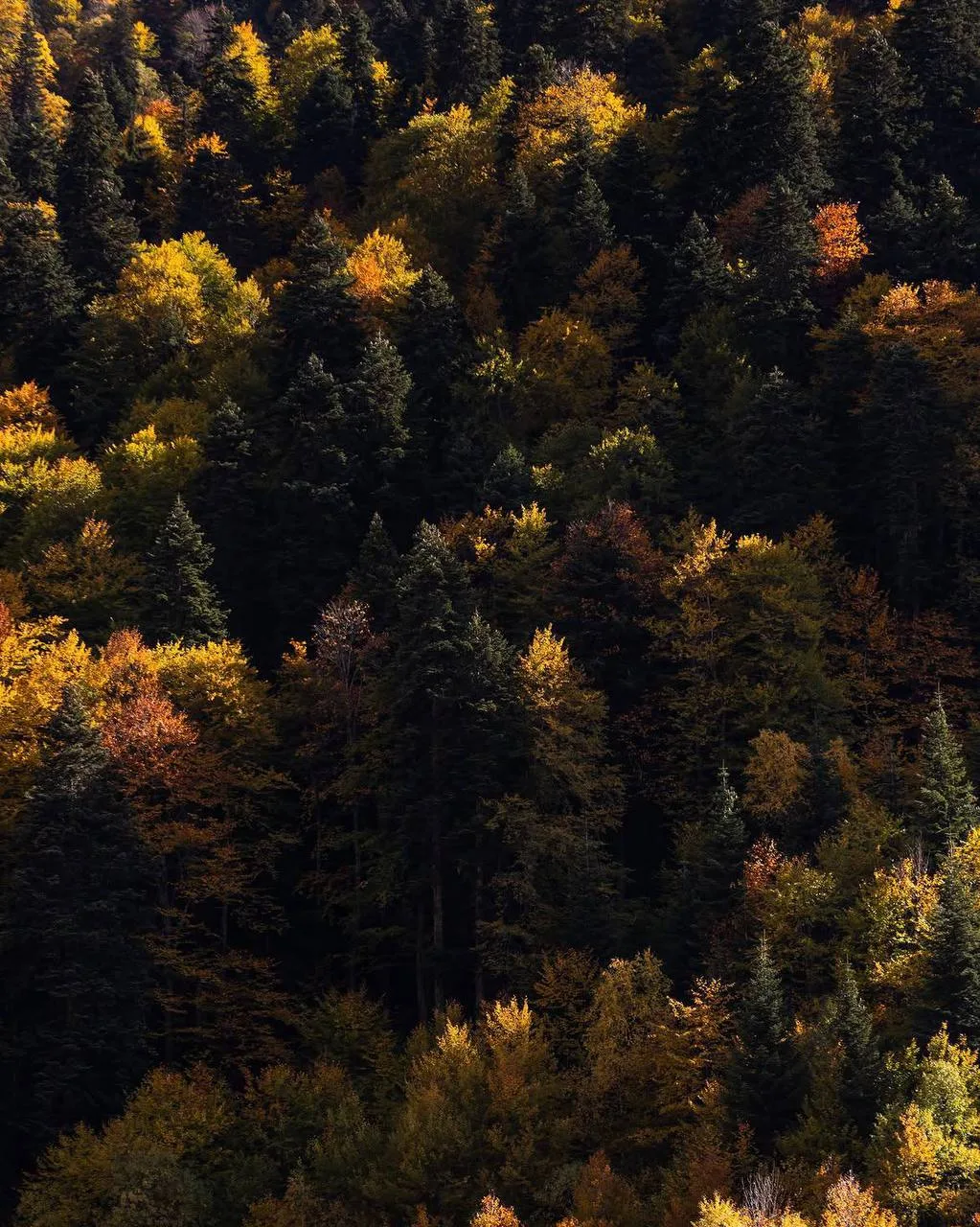 Осеннее преображение гор 🍃