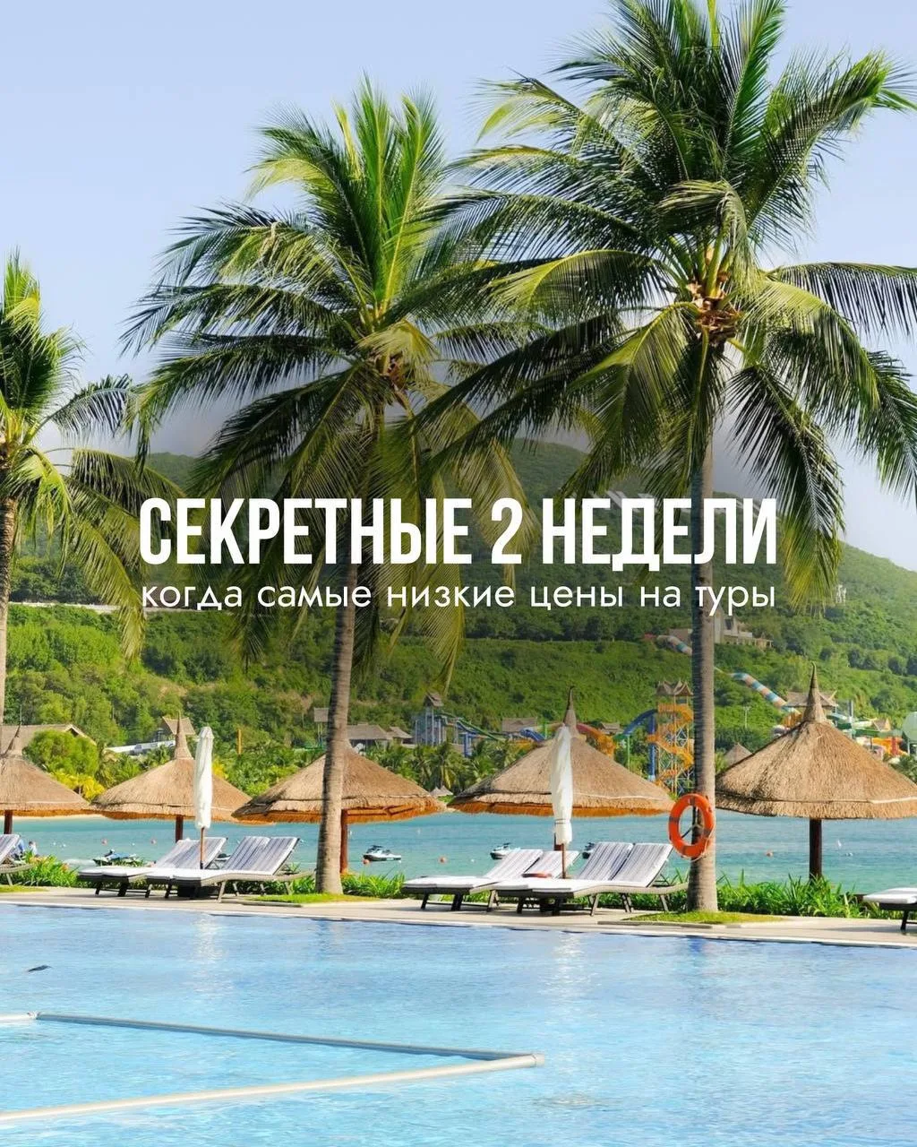 Супер низкие цены - всего 2 недели в году🙈