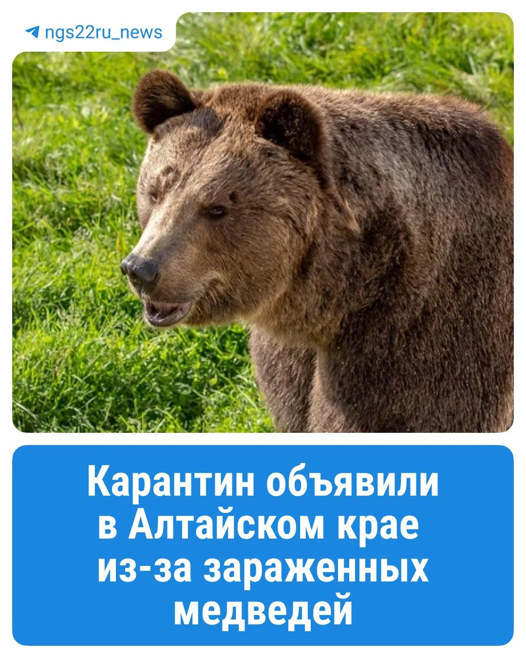 ⚡️Вспышку трихинеллеза обнаружили в Алтайском крае