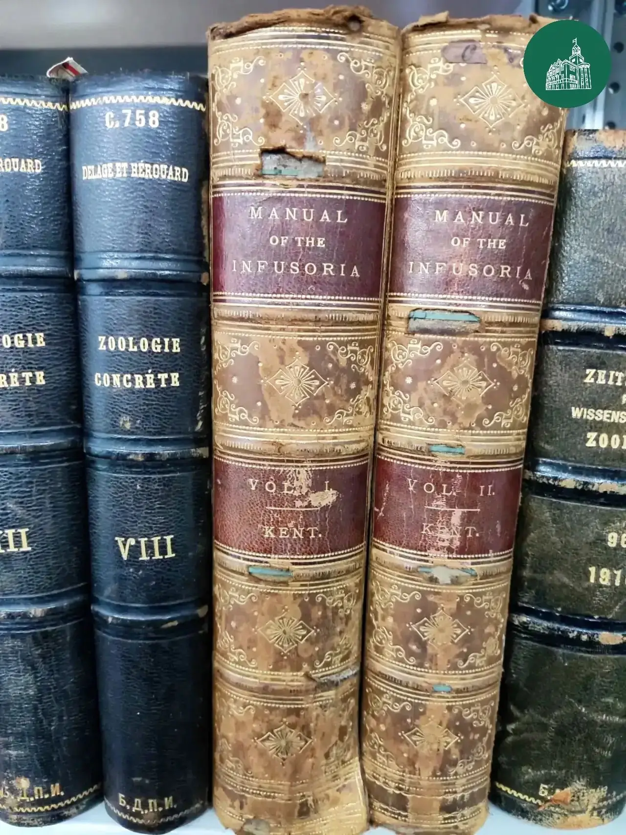 📜✨ Что скрывают старинные страницы?