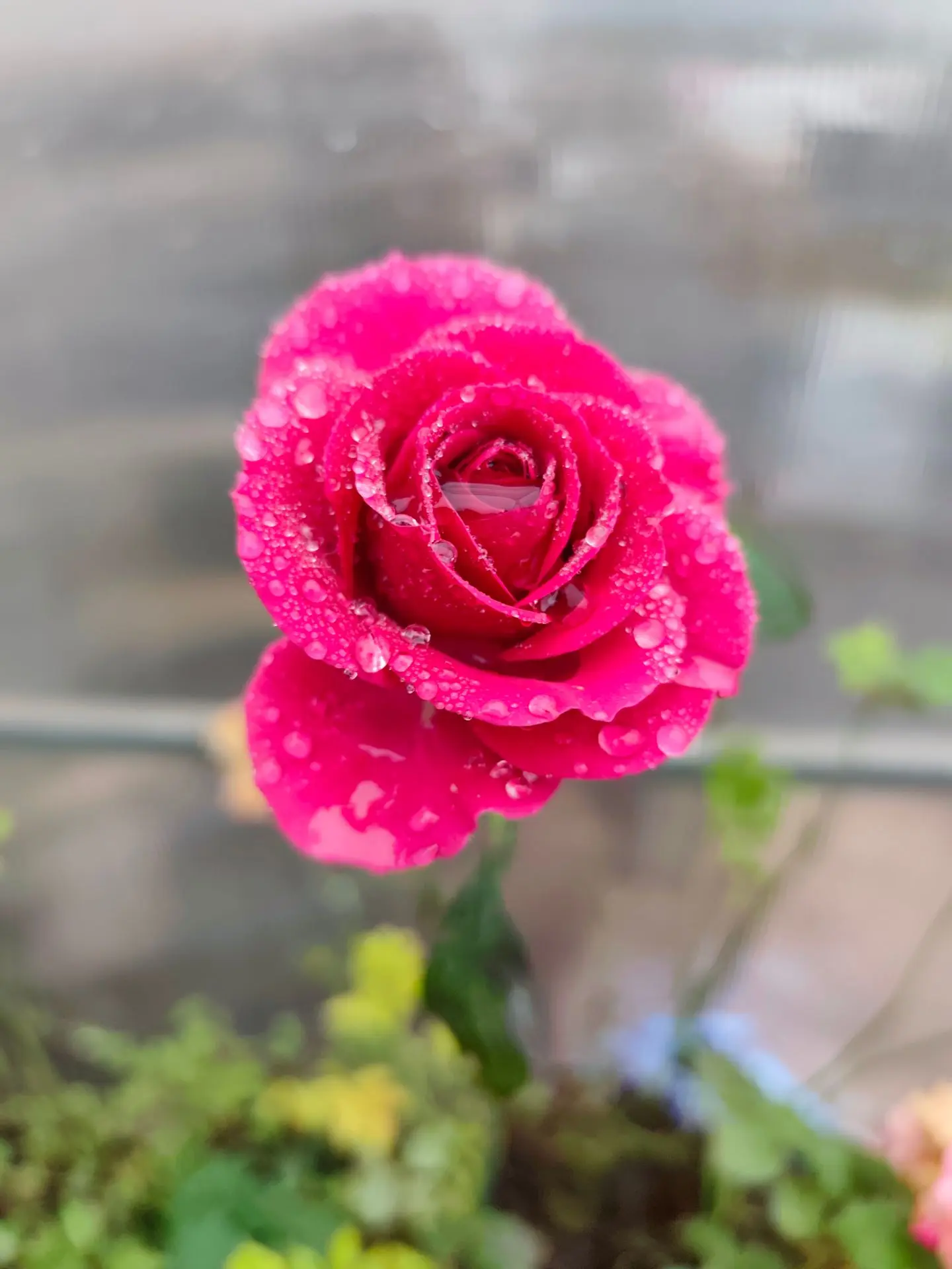 Доброе утро, друзья 💖