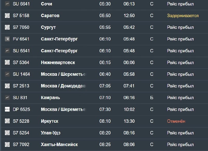 В Новосибирске происходят массовые задержки и отмены самолетов.