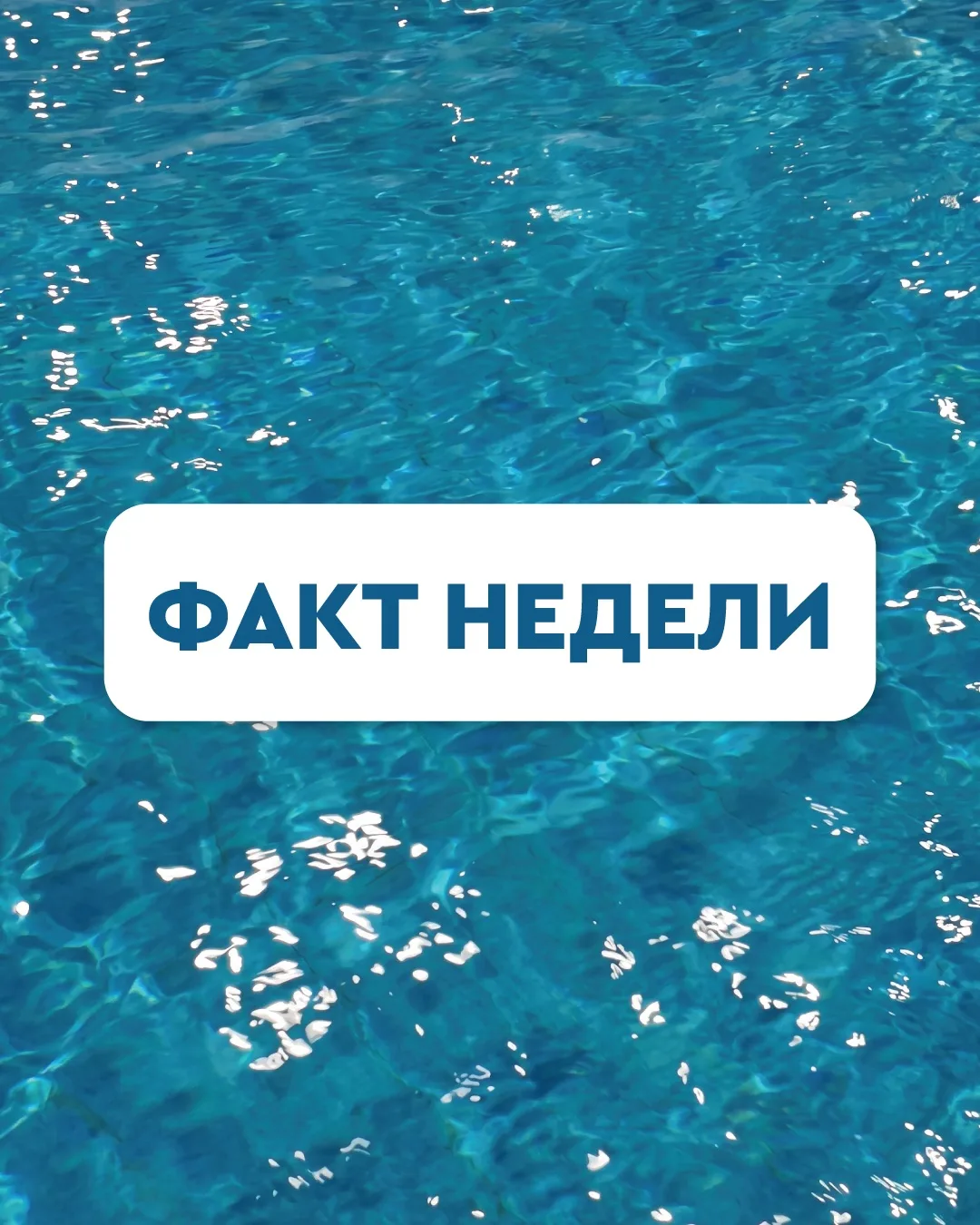 Факт недели 🦈