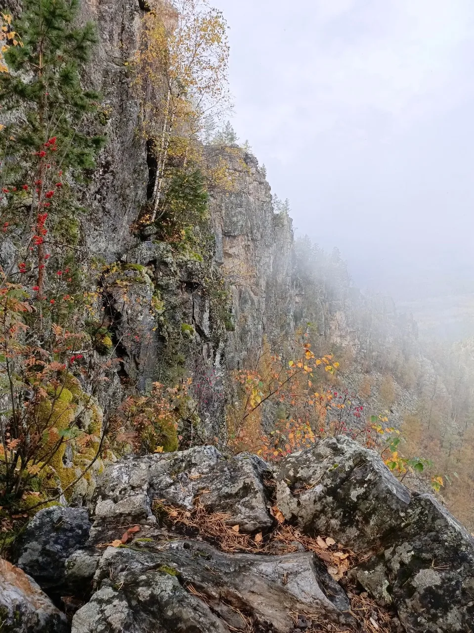 🎉 Коллеги, поздравляем с Днём Республики Башкортостан!