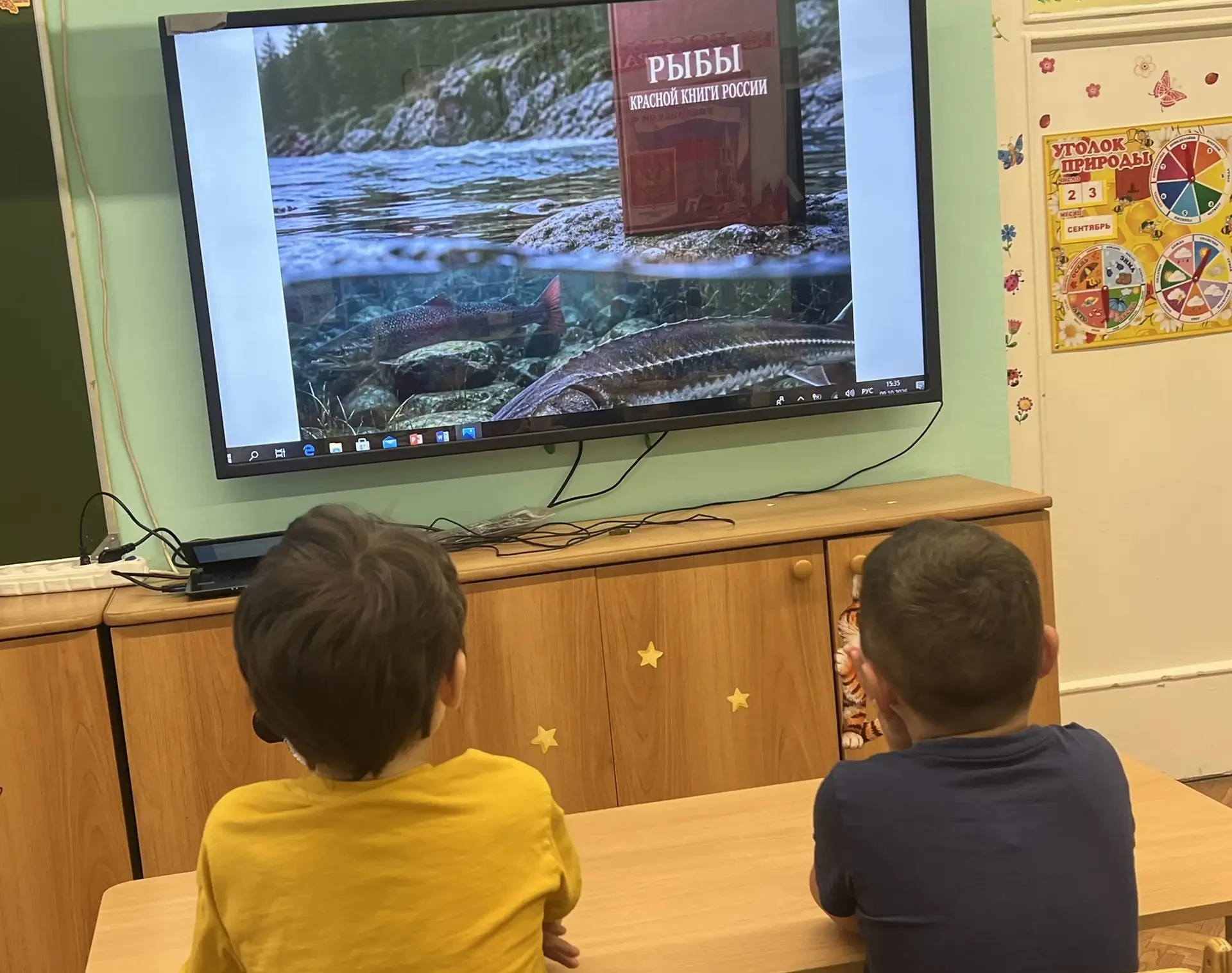 В рамках реализации регионального проекта «Предшкола: стандарт детского сада» на темати...
