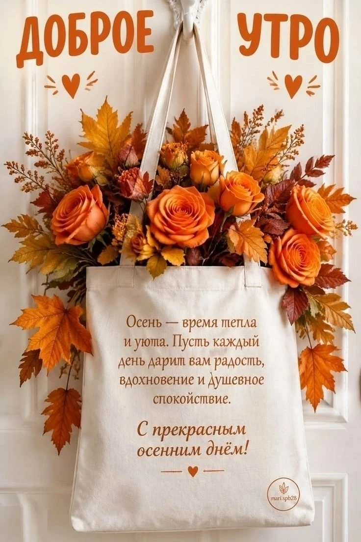 🎀 Красивые открытки