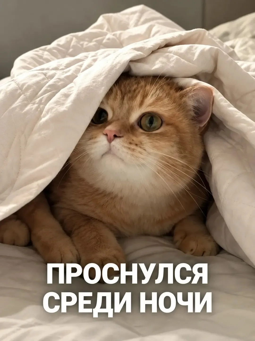 Ну почему всегда так?