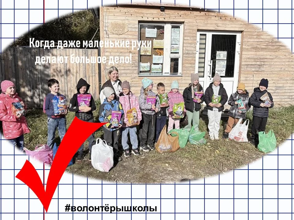 «Осенняя неделя добра»: когда даже маленькие руки делают большое дело!🐾