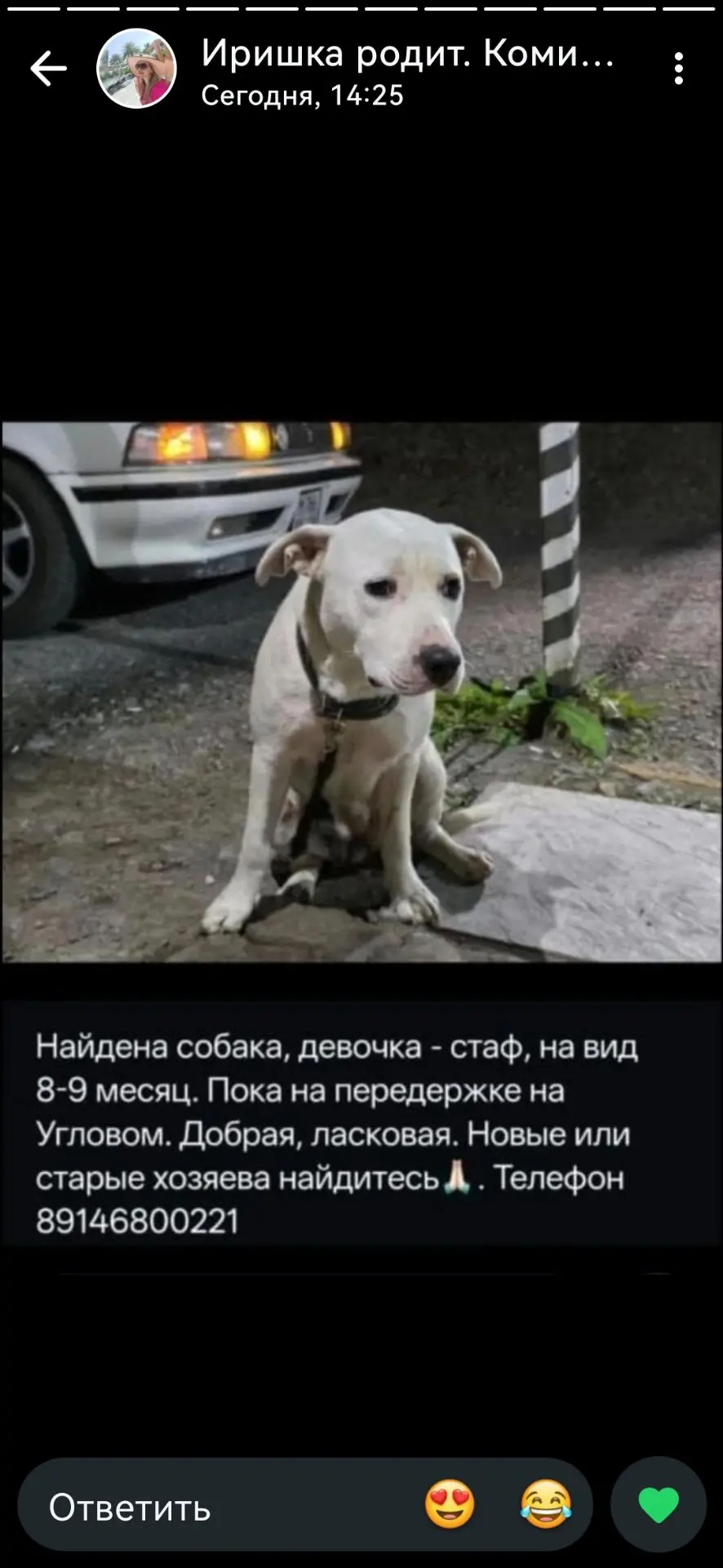 УГЛОВОЕ❗❗❗