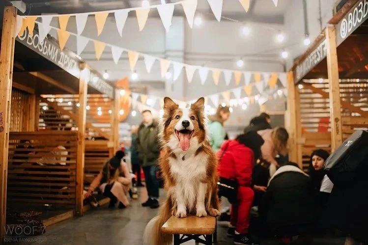 Woof fest пройдет на Хлебозаводе