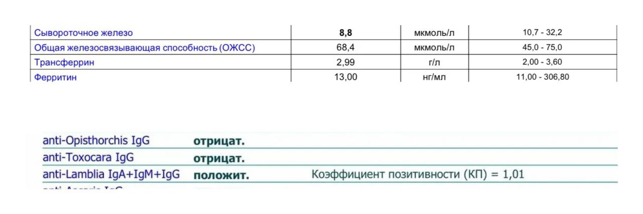 Кошка заразила меня паразитами, и они съели железо